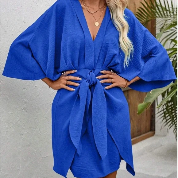 Batwing sleeve wrap knot front dress - Picture 1 of 4